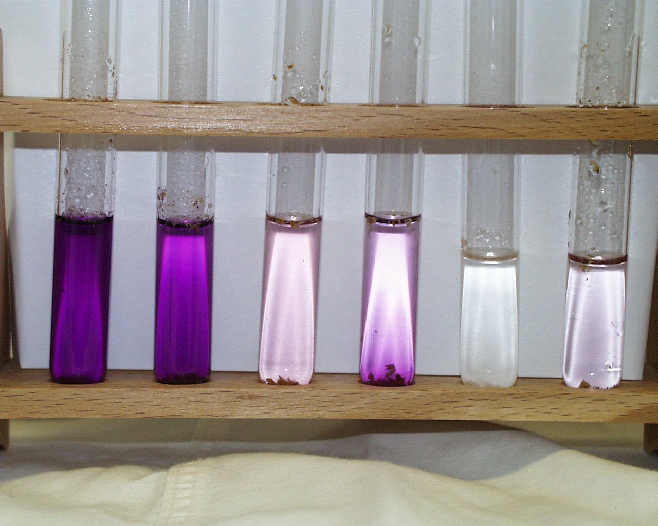 Foto von Reagenzgläsern im Halter. Von links nach rechts nimmt die Färbungsintensität (violette Farbe)  ab